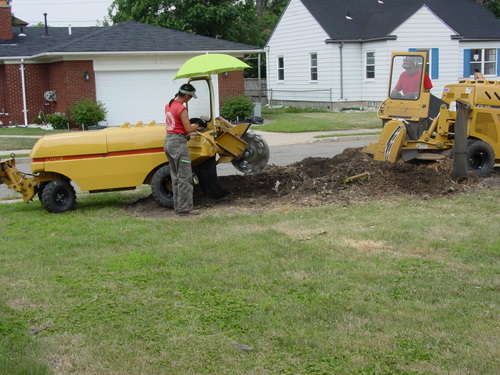 ./Gallery/2011 Bennet Lot Tree Removal/DSC06474.JPG